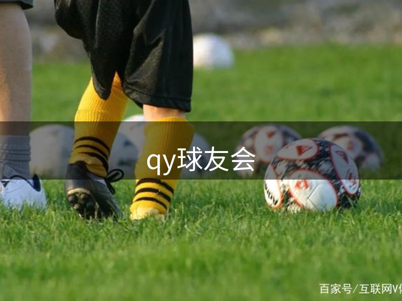 公司详情
